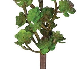 Green Succulent Pick