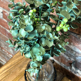 Eucalyptus Bush w/ Green Berries 18"