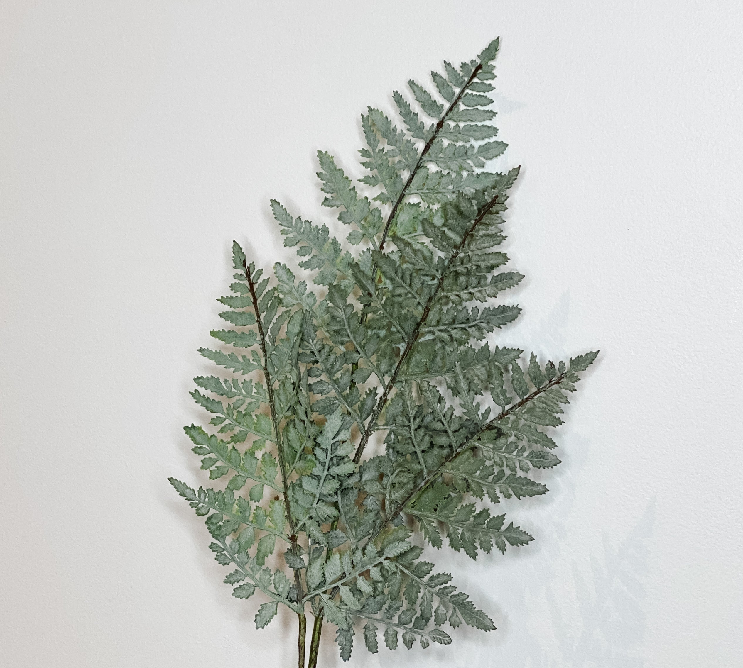 Real Touch Fern Spray 36"