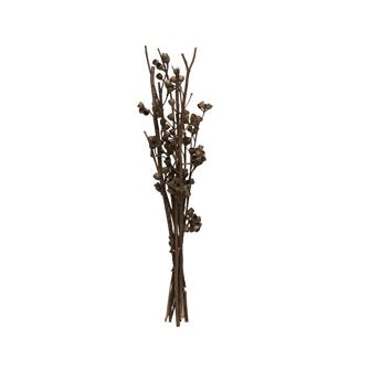 Dried Natural Eucalyptus Seed Bunch 12”