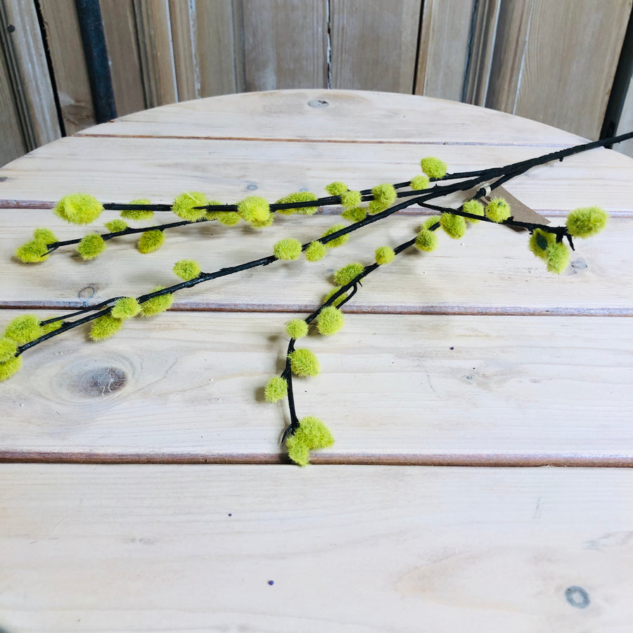 Green Pussy Willow Stem 31"