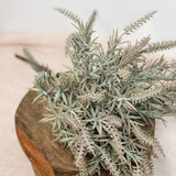 Light Green Lavender Bundle 17.5 In.