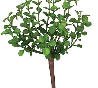 Green Succulent Pick