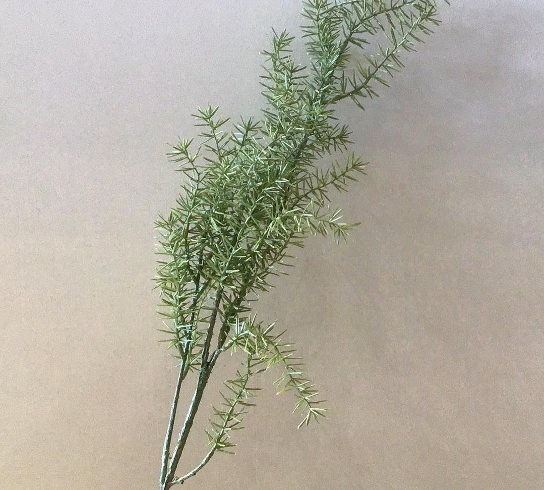 Asparagus Fern Stem 36 in. - MarketPlaceManning