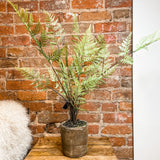 Fern in Ceramic Pot 28"