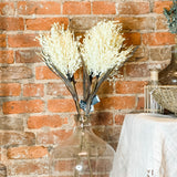 Cream Stout Reed Stem 32"