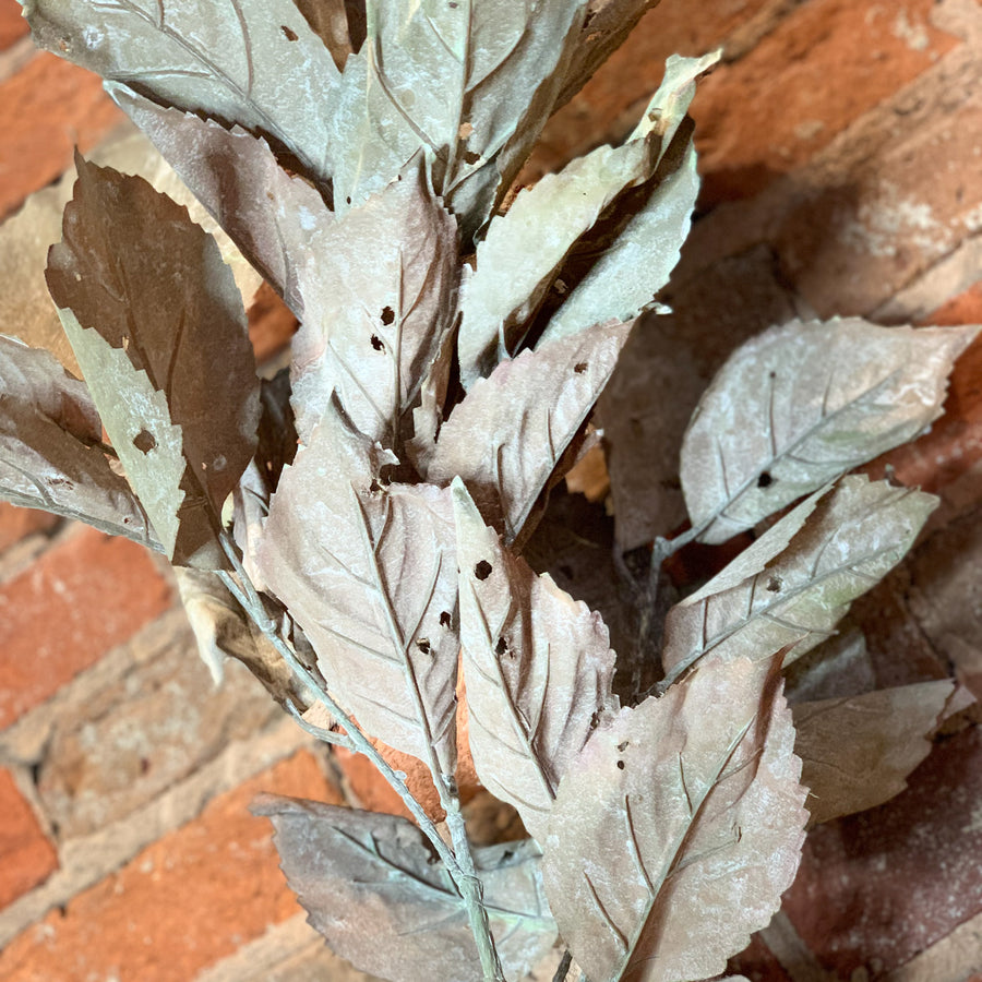 Dry Hydrangea Leaf Spray 43”
