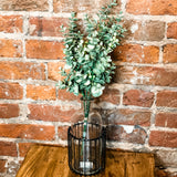Eucalyptus Bush w/ Green Berries 18"