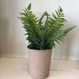 Faux Fern In Paper Pot 13.5”