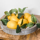 Lemon w/ Foliage 4.5"