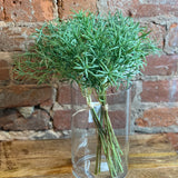 Rosemary Bundle 13in
