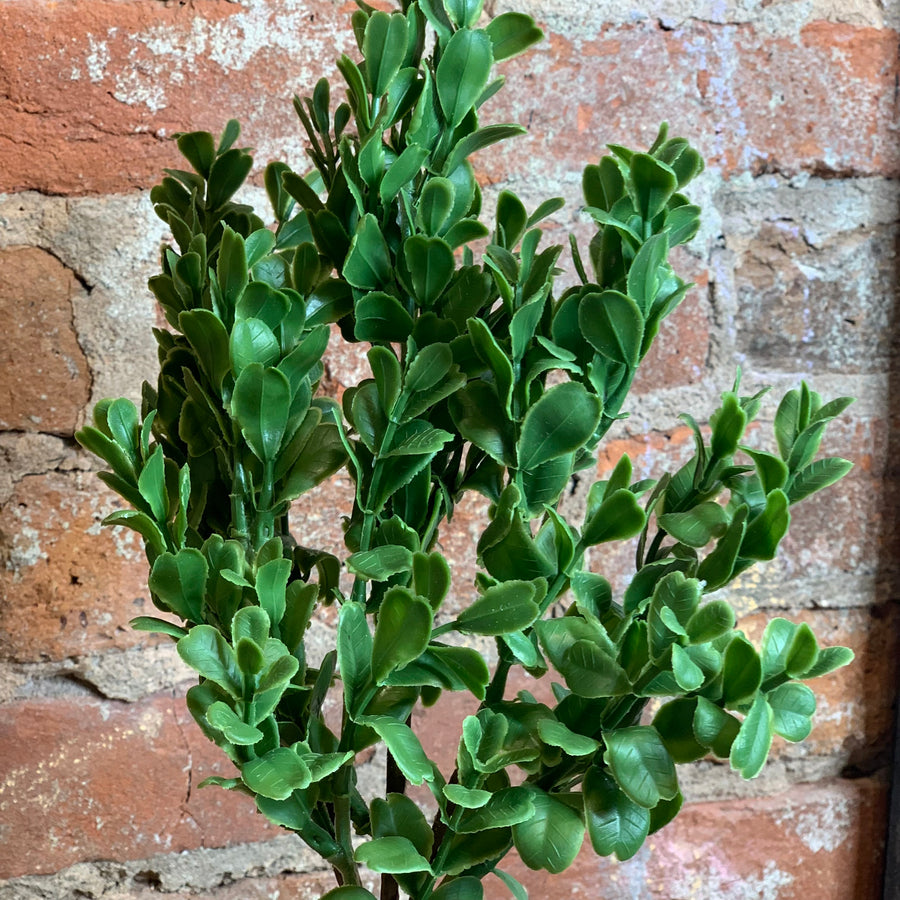 Real Touch Boxwood Pick 18in