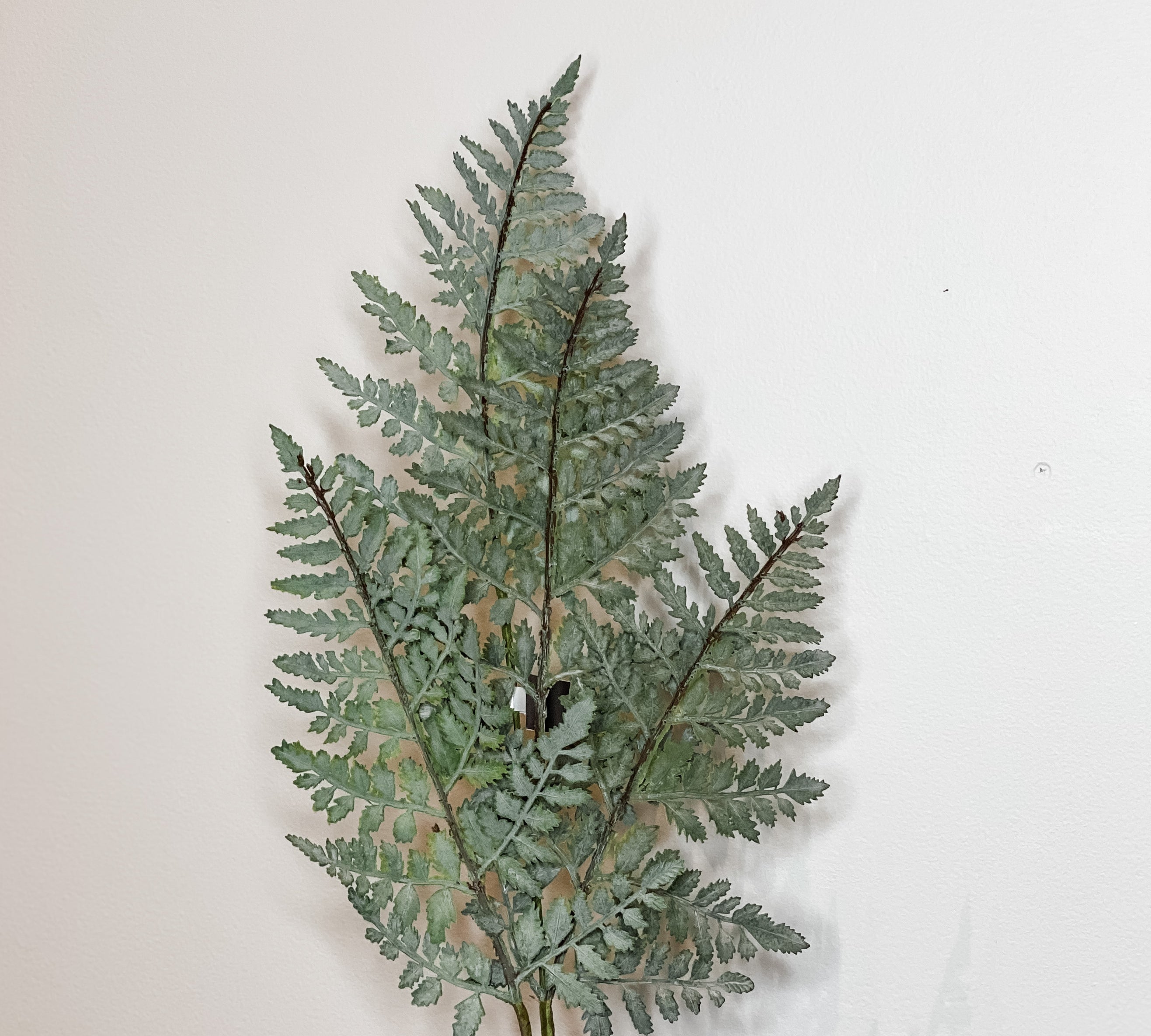 Real Touch Fern Spray 36"