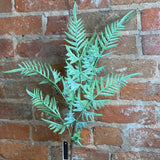 Real Touch Parsley Fern Spray 31"