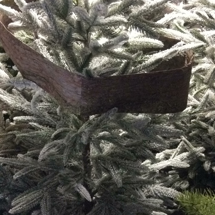 Mossy Bark Paper Ribbon 4in