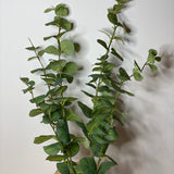 Grand Green Eucalyptus Spray 40"