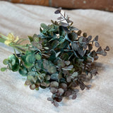 Eucalyptus Bundle 15”