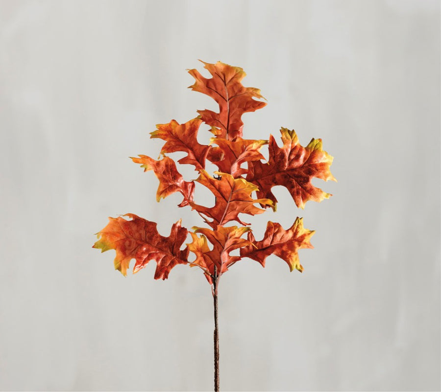 Pin Oak Leaves Pick 26.5"