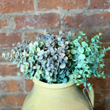 Eucalyptus Bundle 15”