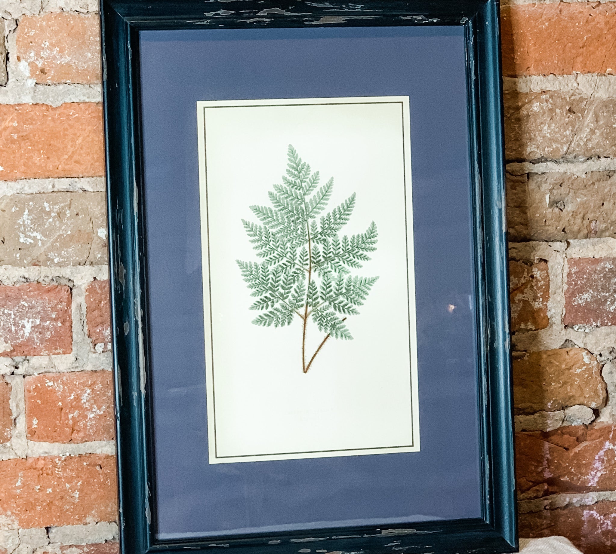 Framed Fern Print 13.5x19.5"
