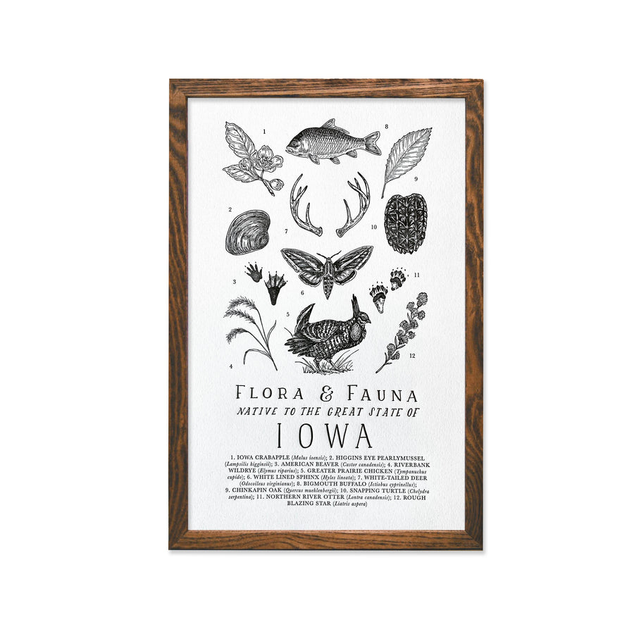 Iowa Field Guide Print
