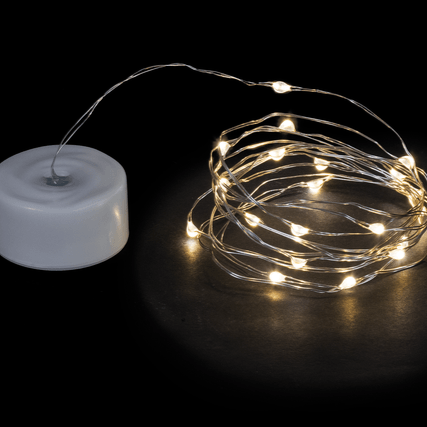 20 LED String Light 6ft - MarketPlaceManning