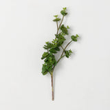 Sedum Succulent Spray 13"